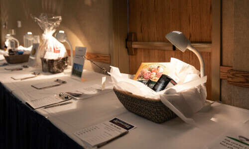 2019 Hospice Ball - Auction Item Display