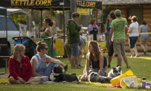 Canyon Acoustic Series