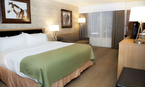 Spearfish Holiday Inn Standard King Bed